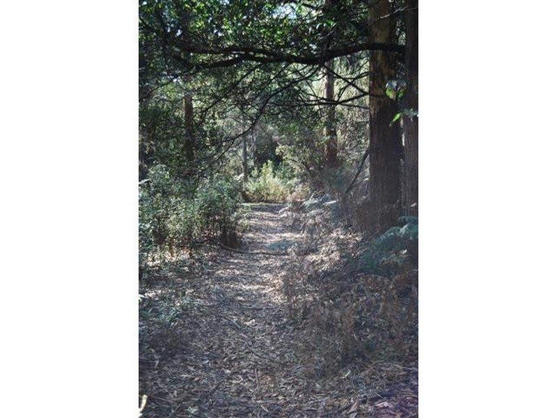 00 Western Creek Road, Western Creek TAS 7304