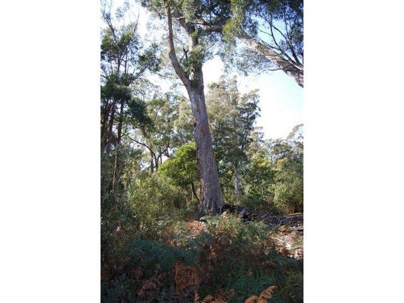 00 Western Creek Road, Western Creek TAS 7304