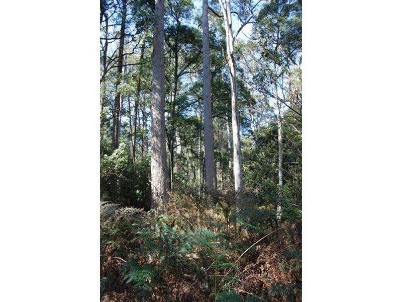 00 Western Creek Road, Western Creek TAS 7304