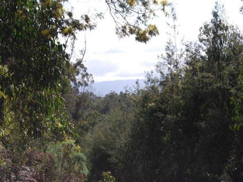 00 Western Creek Road, Western Creek TAS 7304