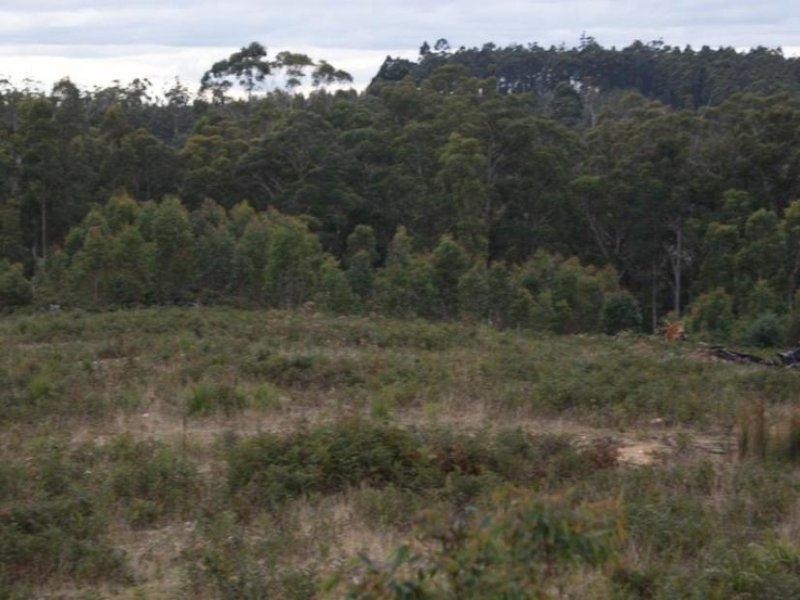13544 Highland lakes Road, Golden Valley TAS 7304