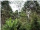 241 Davis Road, Quamby Brook TAS 7304