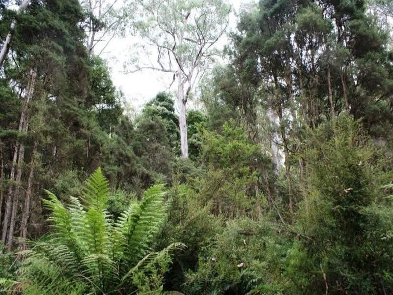 241 Davis Road, Quamby Brook TAS 7304