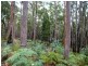 241 Davis Road, Quamby Brook TAS 7304