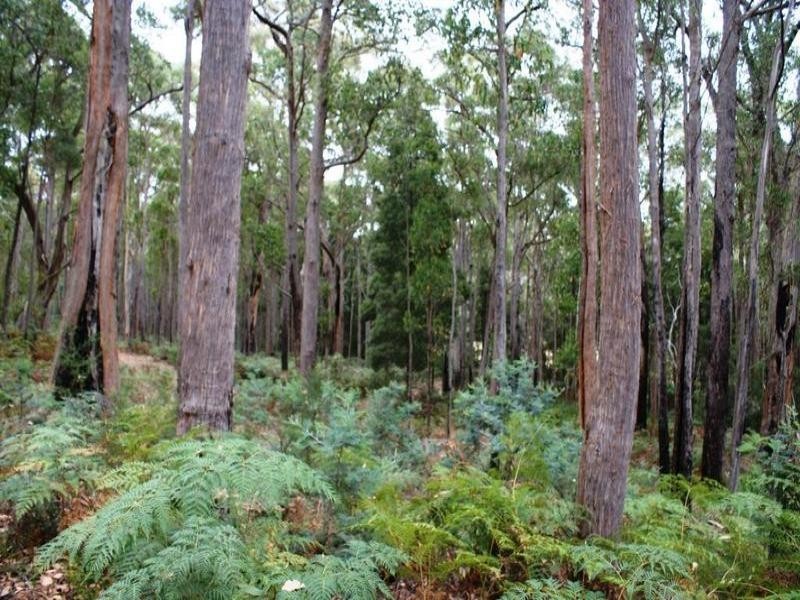 241 Davis Road, Quamby Brook TAS 7304