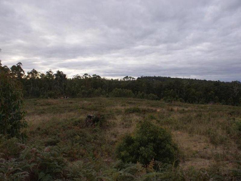 13544 Highland Lakes Road, Golden Valley TAS 7304