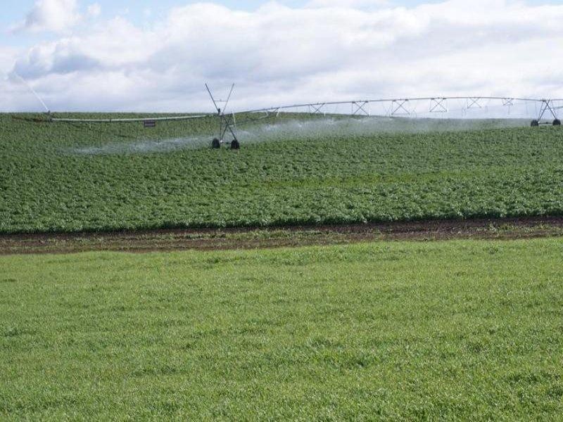 169 Mole Creek Road, Deloraine TAS 7304