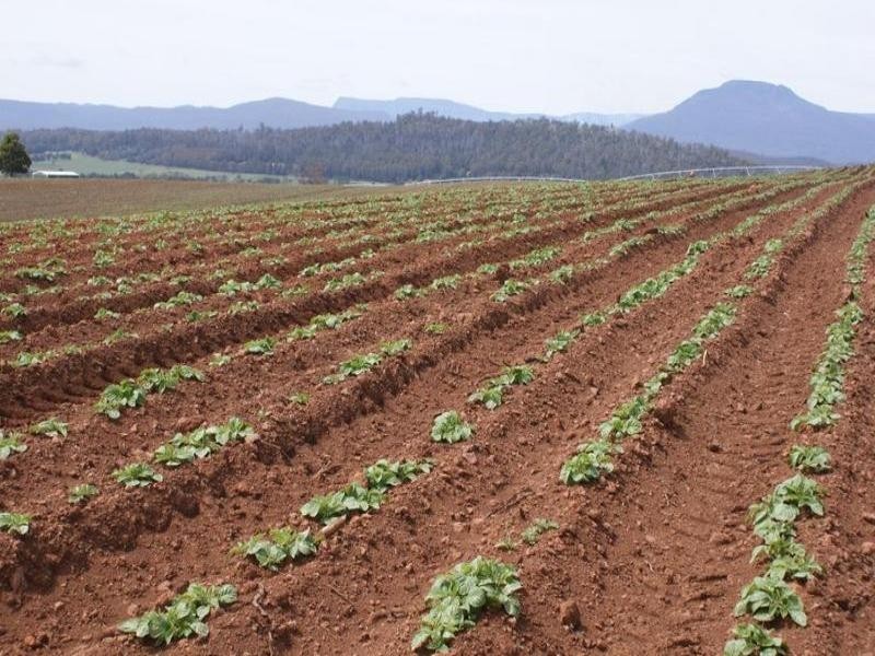 169 Mole Creek Road, Deloraine TAS 7304