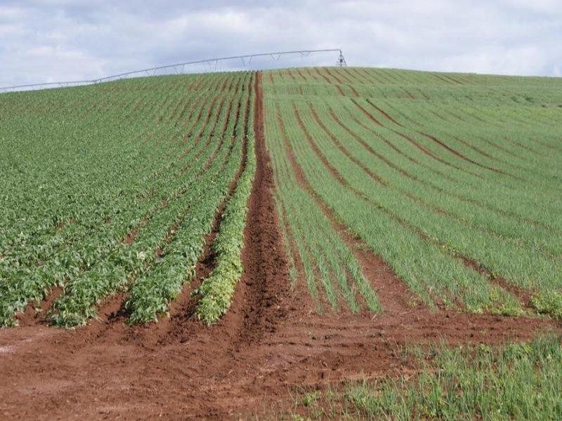 169 Mole Creek Road, Deloraine TAS 7304