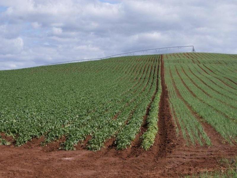 169 Mole Creek Road, Deloraine TAS 7304