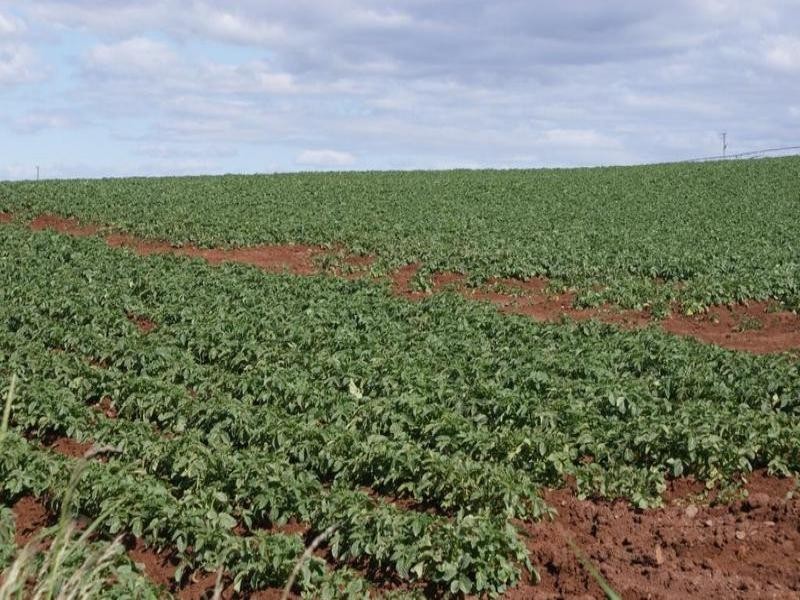 169 Mole Creek Road, Deloraine TAS 7304