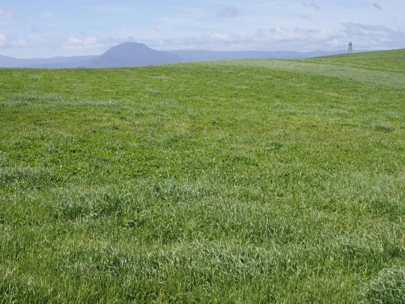 5093 Bass Highway, Deloraine TAS 7304