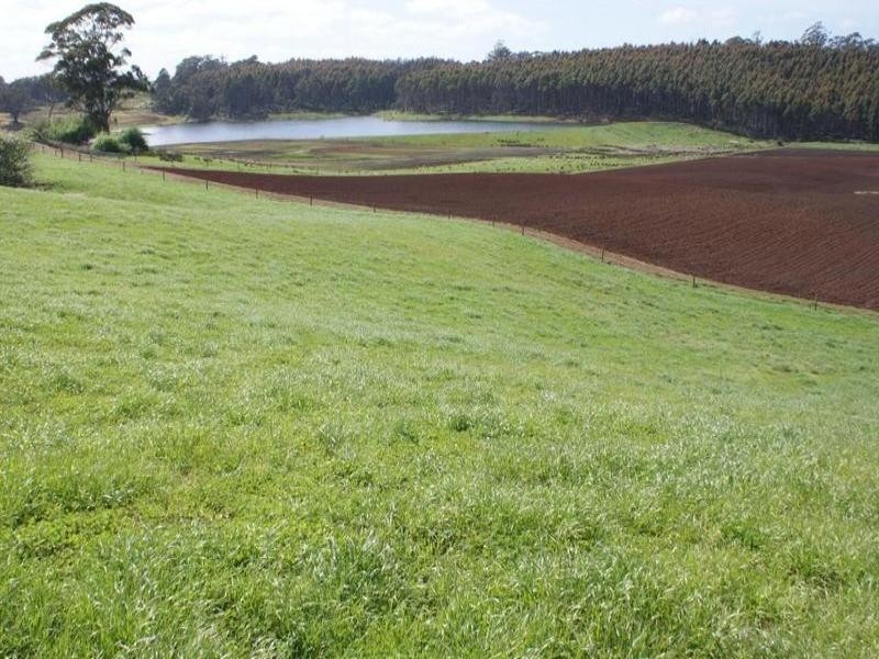 5093 Bass Highway, Deloraine TAS 7304