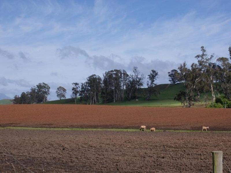 5093 Bass Highway, Deloraine TAS 7304