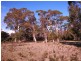 Lot/3 Marana Drive, Bakers Beach TAS 7307