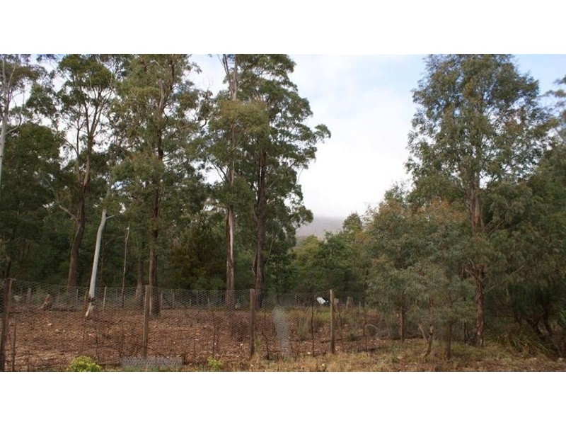 13563 Highland Lakes Road, Golden Valley TAS 7304