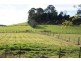 807 Weegena Road, Weegena TAS 7304