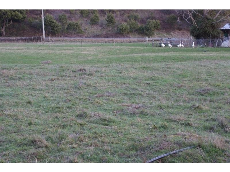 385 Liena Road, Mole Creek TAS 7304