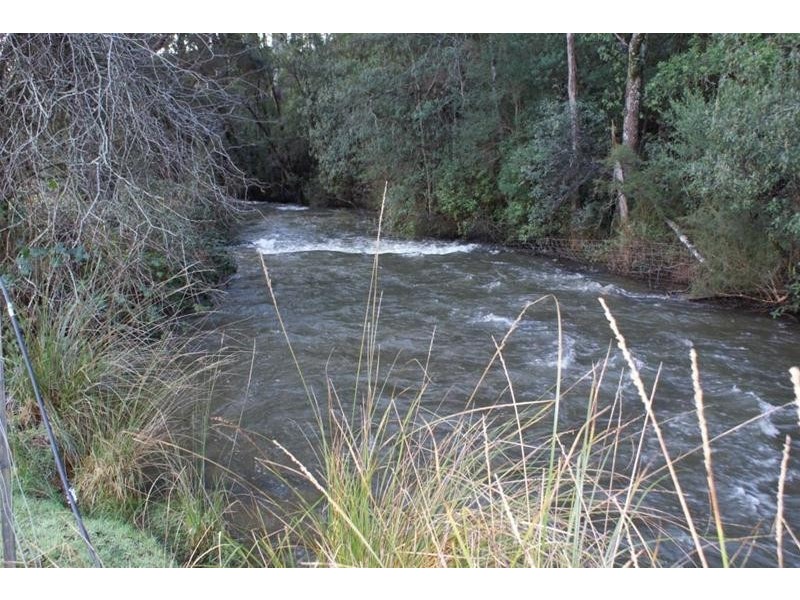 385 Liena Road, Mole Creek TAS 7304