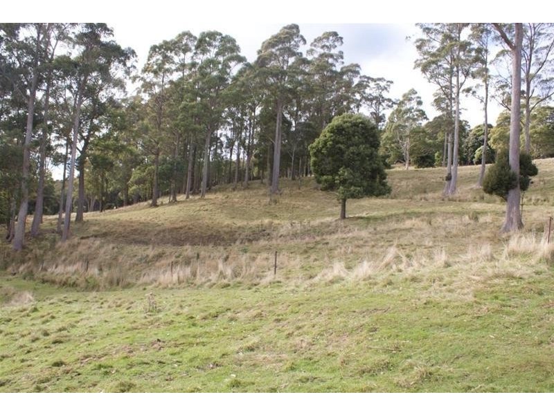 84 Coates Hill Road, Parkham TAS 7304