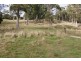 84 Coates Hill Road, Parkham TAS 7304