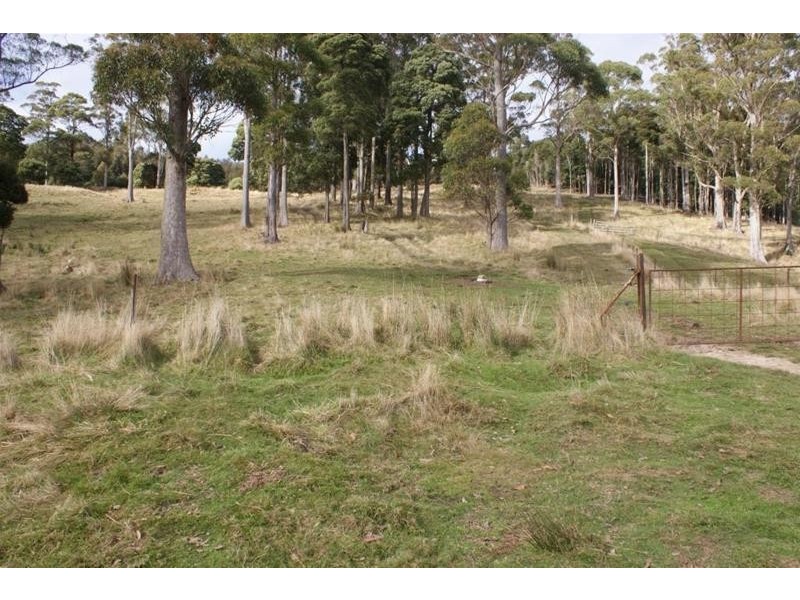84 Coates Hill Road, Parkham TAS 7304
