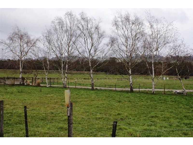 125 Morrison Street, Kimberley TAS 7304