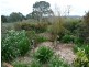 91 Jackey’s Marsh Road, Meander TAS 7304