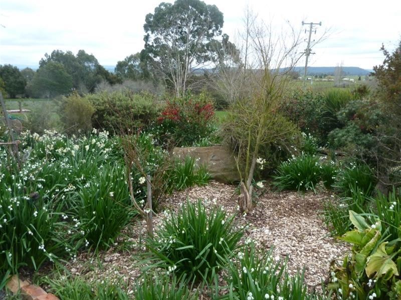 91 Jackey’s Marsh Road, Meander TAS 7304