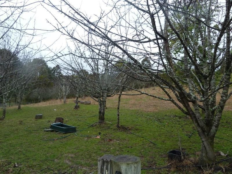 91 Jackey’s Marsh Road, Meander TAS 7304