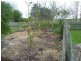 470 Dunorlan Road, Dunorlan TAS 7304