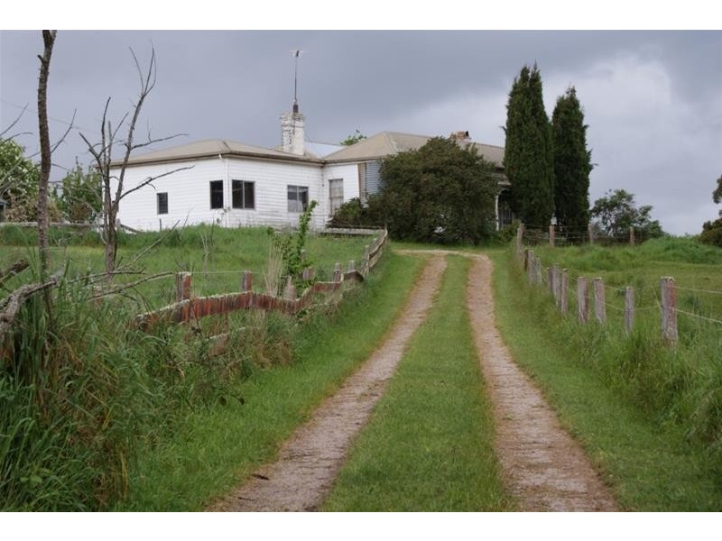 946 Mole Creek Road, Needles TAS 7304