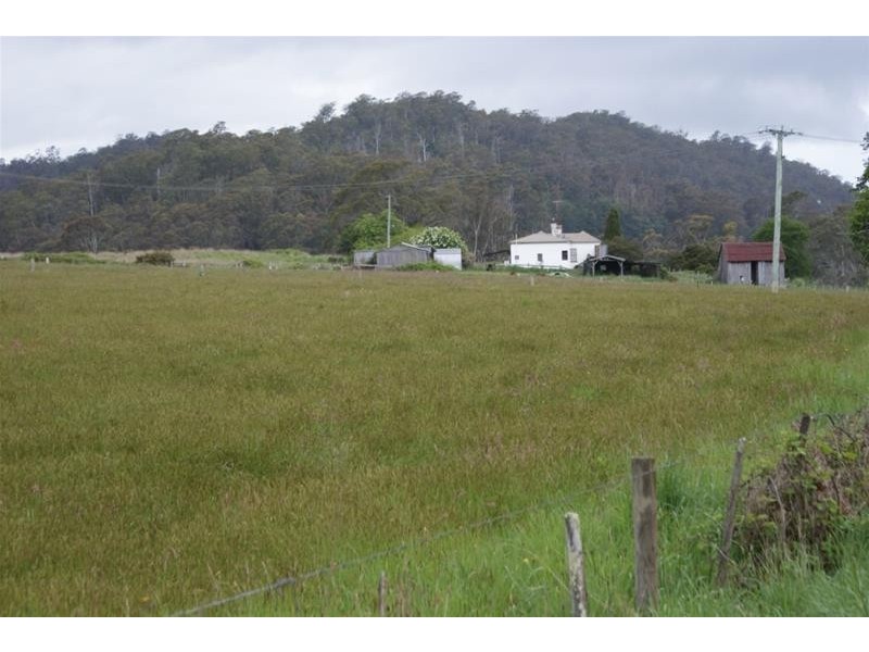 946 Mole Creek Road, Needles TAS 7304