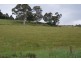 946 Mole Creek Road, Needles TAS 7304