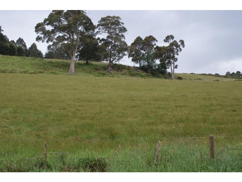 946 Mole Creek Road, Needles TAS 7304