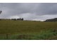 946 Mole Creek Road, Needles TAS 7304