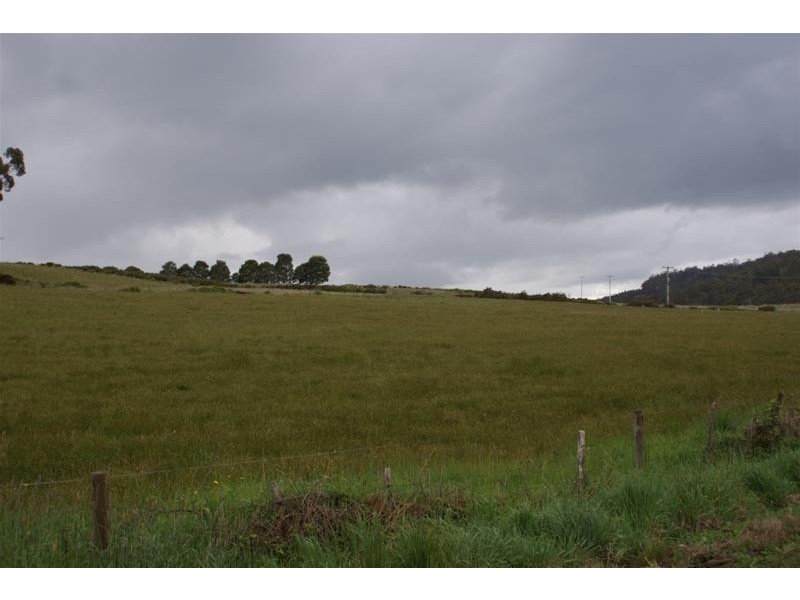 946 Mole Creek Road, Needles TAS 7304