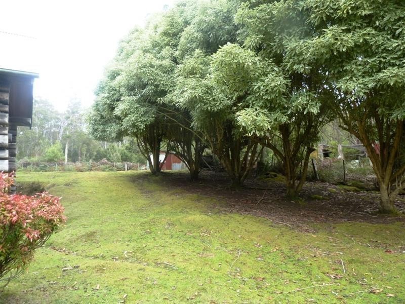 531 Larcombes Road, Reedy Marsh TAS 7304