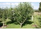 1 Burnett Street, Chudleigh TAS 7304