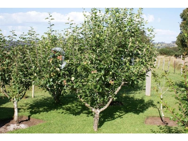 1 Burnett Street, Chudleigh TAS 7304