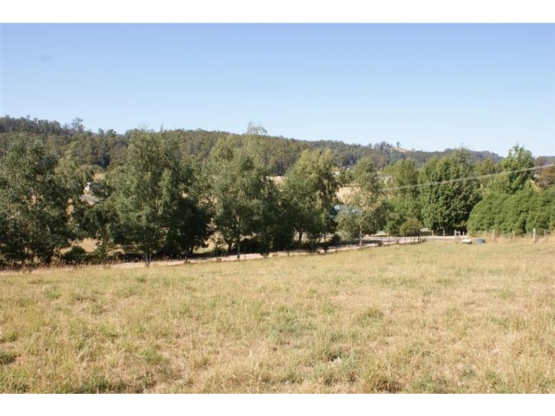 49 McNeil Street, Mole Creek TAS 7304