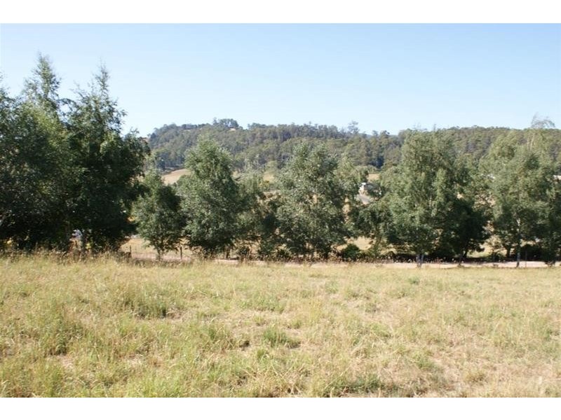 49 McNeil Street, Mole Creek TAS 7304