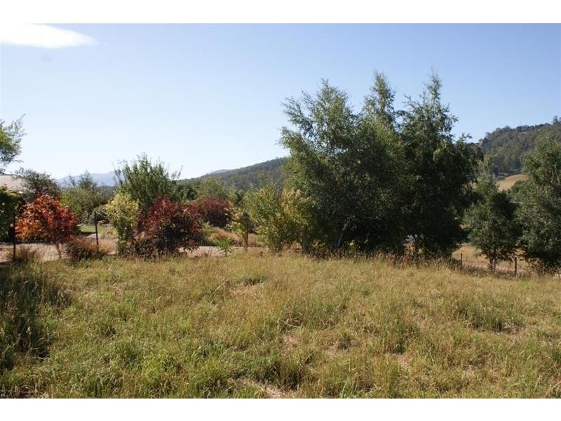 49 McNeil Street, Mole Creek TAS 7304