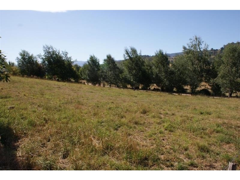 49 McNeil Street, Mole Creek TAS 7304