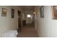 52 Emu Bay Road, Deloraine TAS 7304