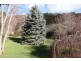 385 Liena Road, Mole Creek TAS 7304