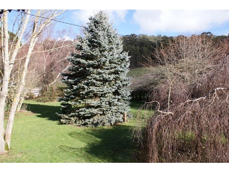 385 Liena Road, Mole Creek TAS 7304