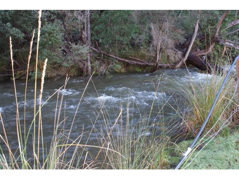 385 Liena Road, Mole Creek TAS 7304