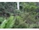 241 Davis Road, Quamby Brook TAS 7304