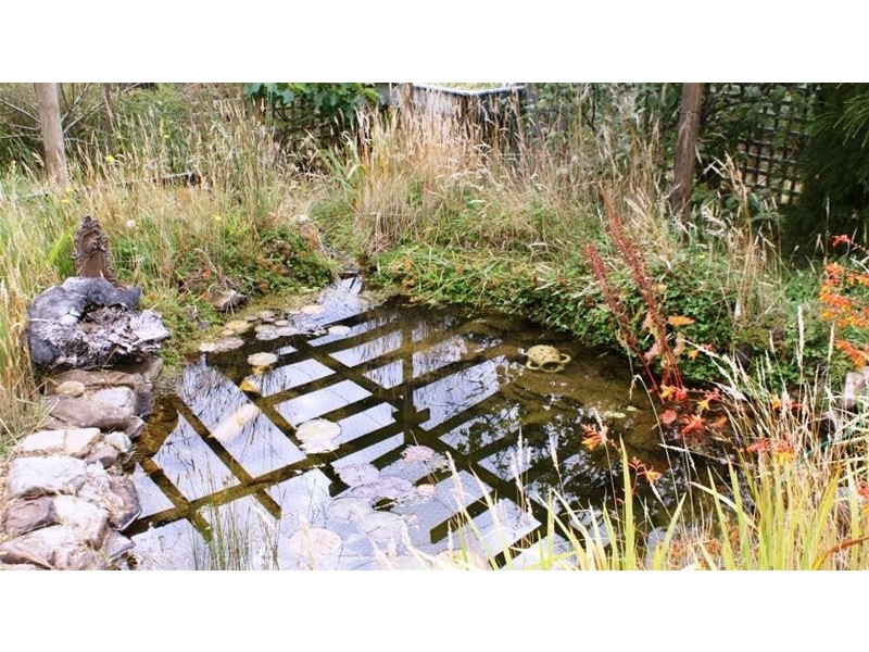 Lot 3, 318 Wiiteena Road, Jackeys Marsh TAS 7304